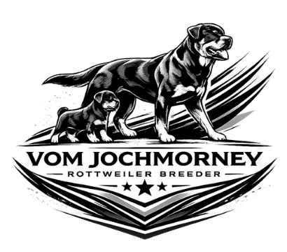 VJM Rottweilers